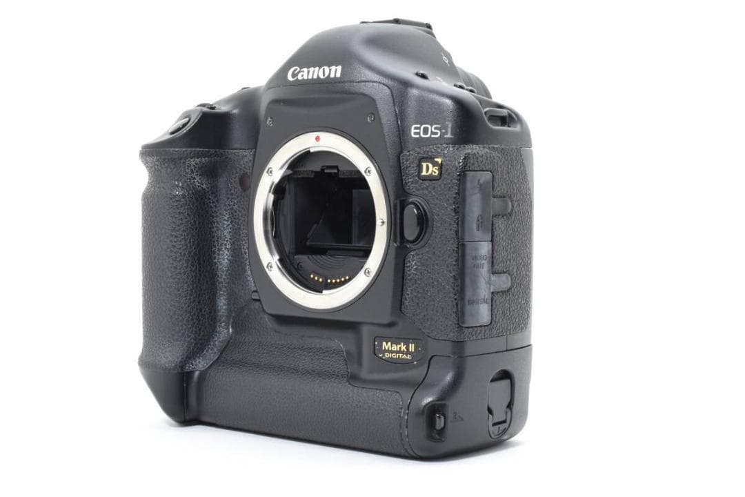 ショット数:15812回 Canon EOS-1Ds Mark II #1171