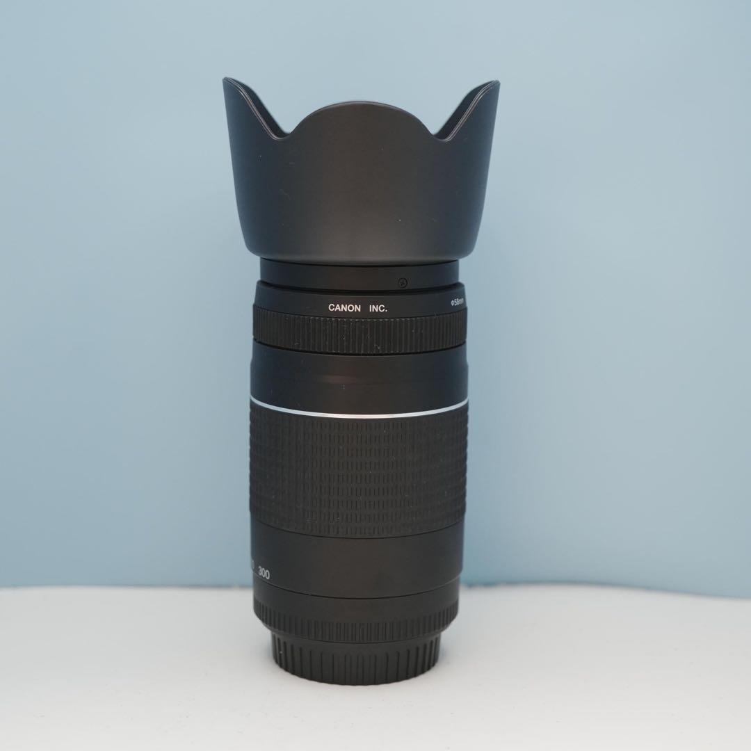 Canon純正 75-300mm 望遠レンズ 美品 a3878
