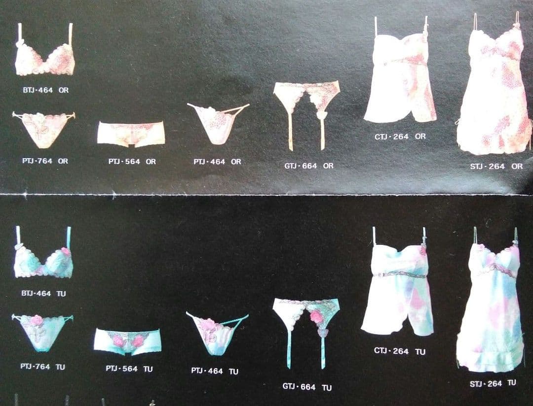 サルート　ブラジャー・ソング(Tバック)・スリップ 3点セット