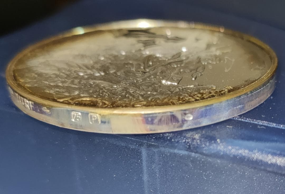 Franklin Mint フランスの 銀貨 de la Croix