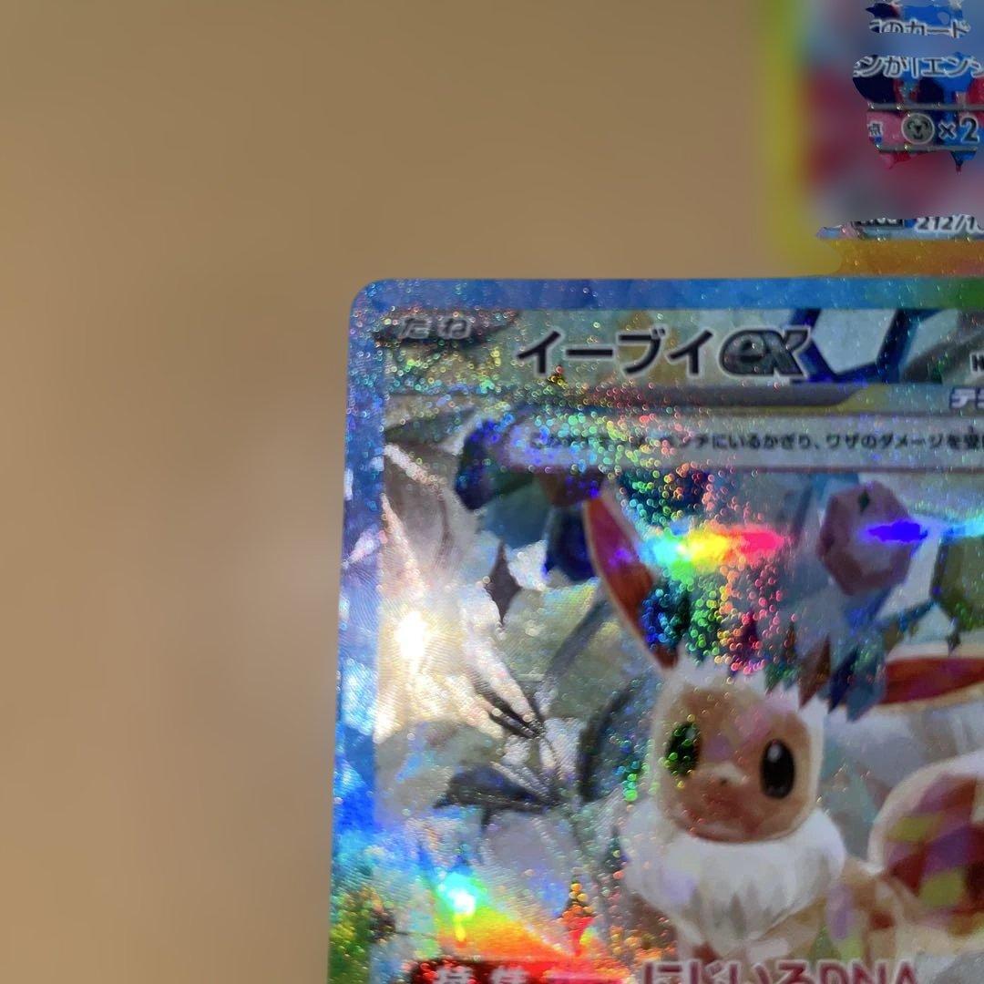 木*山様 ニンフィアSAR イーブイSAR イーブイSAR テラスタルフェス