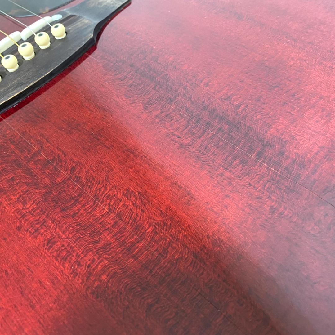 Takamine エレクトリックアコースティックギター 500CUSTOM華道