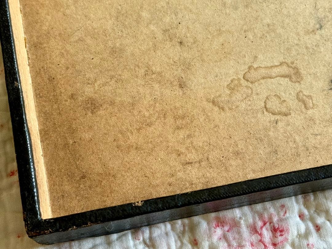 フランス　アンティーク＊BISCUITS GUILLOUT PARIS＊ボックス