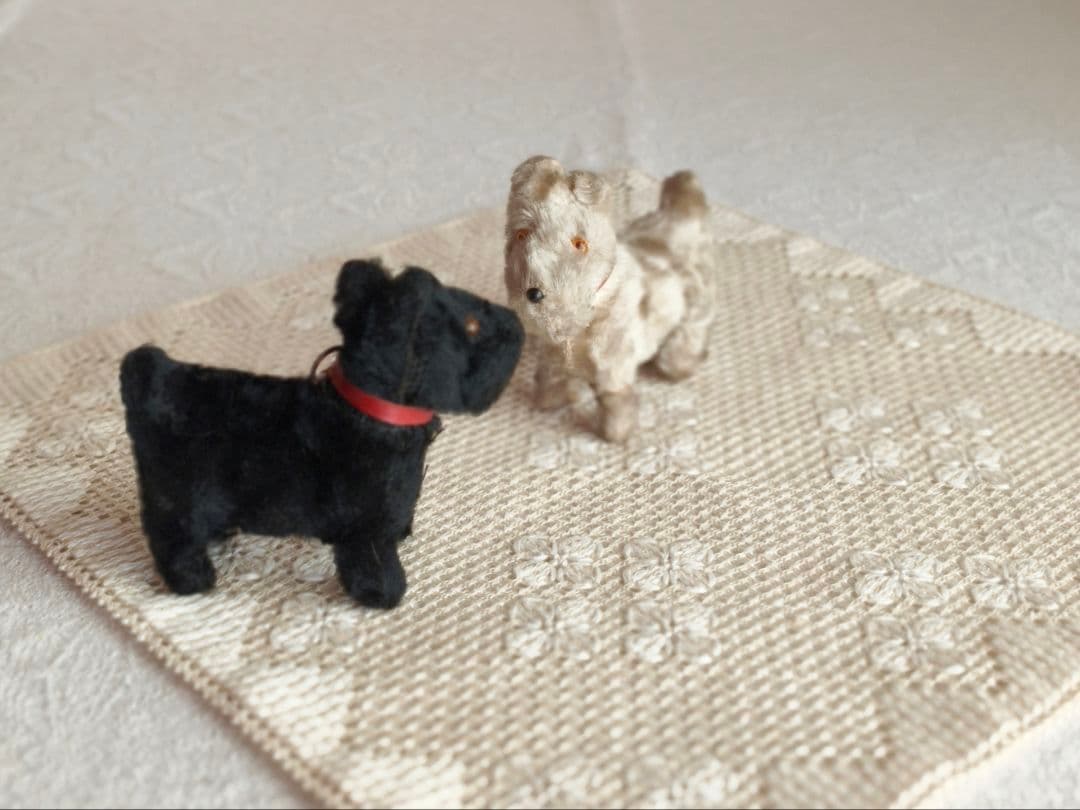 * vintage teria ❀ クリーム色の毛並みの テリアさん