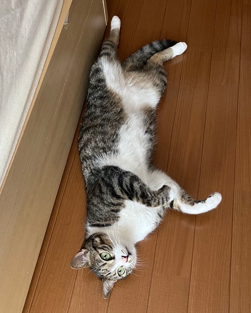 液タブ・ペンタブ Wacom Cintiq 13HD