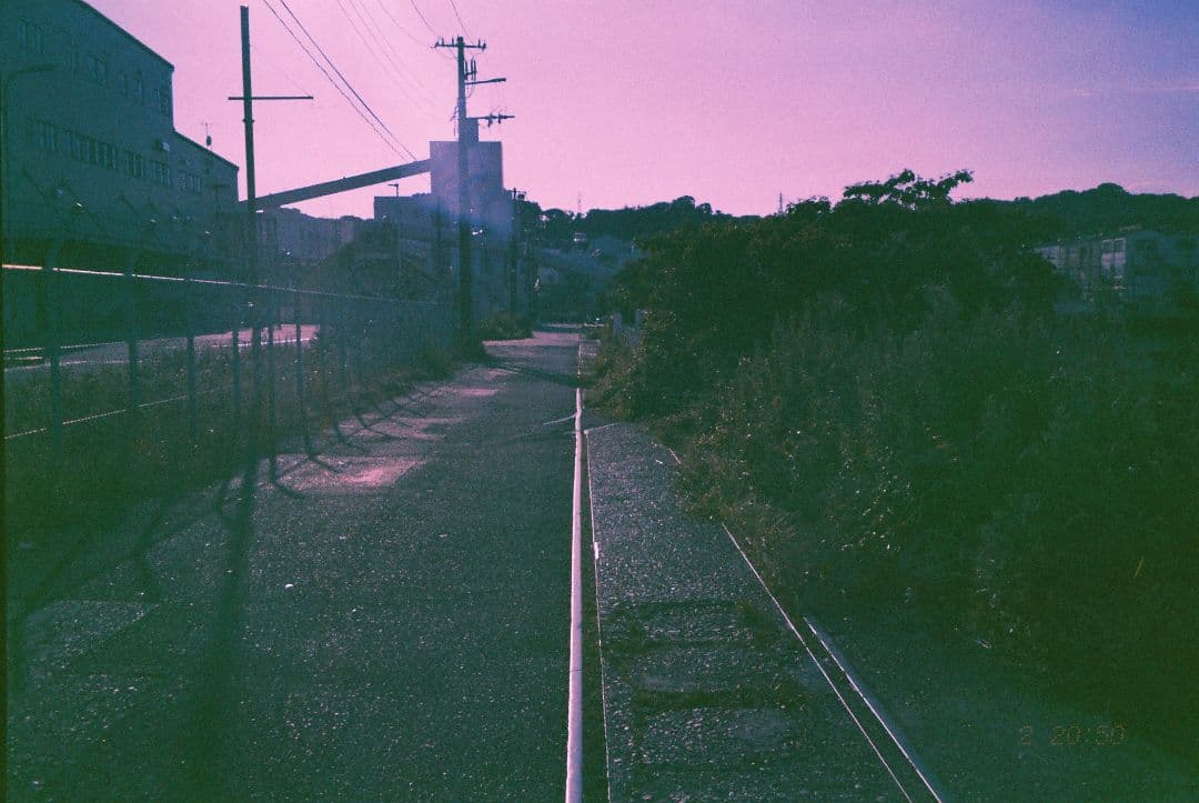 フィルムカメラ Sakuma