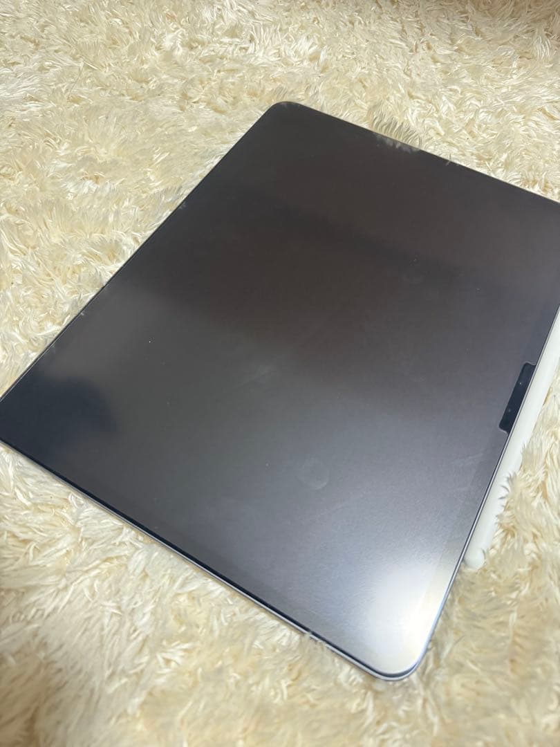 iPad Pro 13インチ M4 256GB Wi-Fi 純正ペンpro
