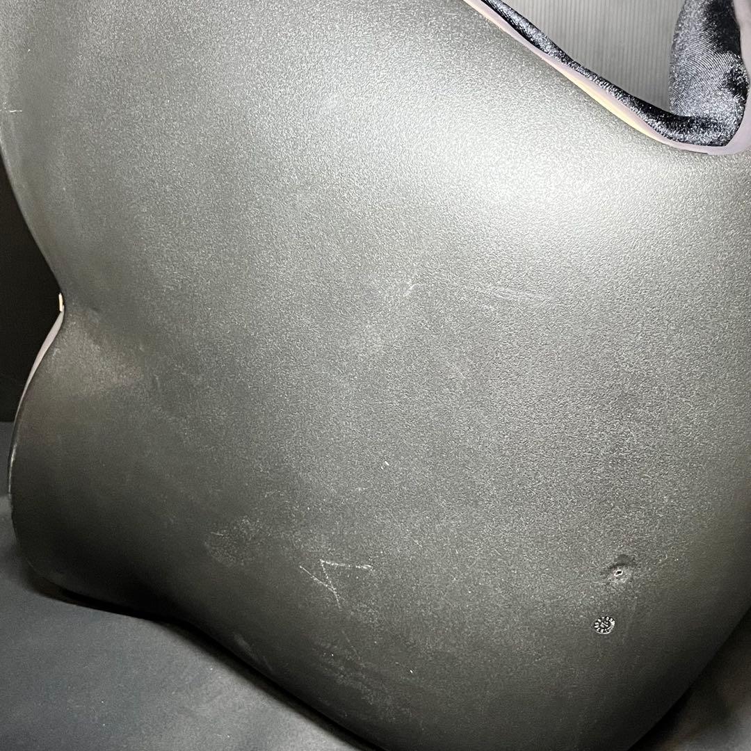 Style premium DX スタイル プレミアム デラックス ブラック