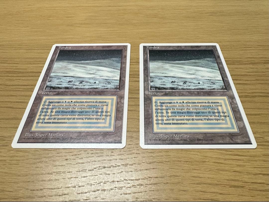 Tundra/3ED-リバイズド(イタリア語)