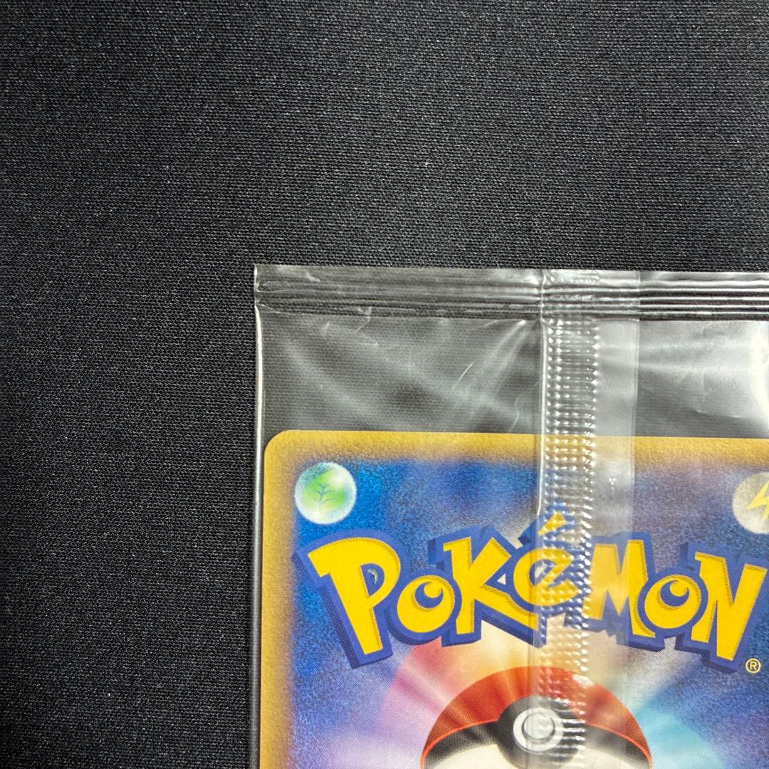 ポケパークのミズゴロウ プロモ 048/PCG-P ポケモンカード