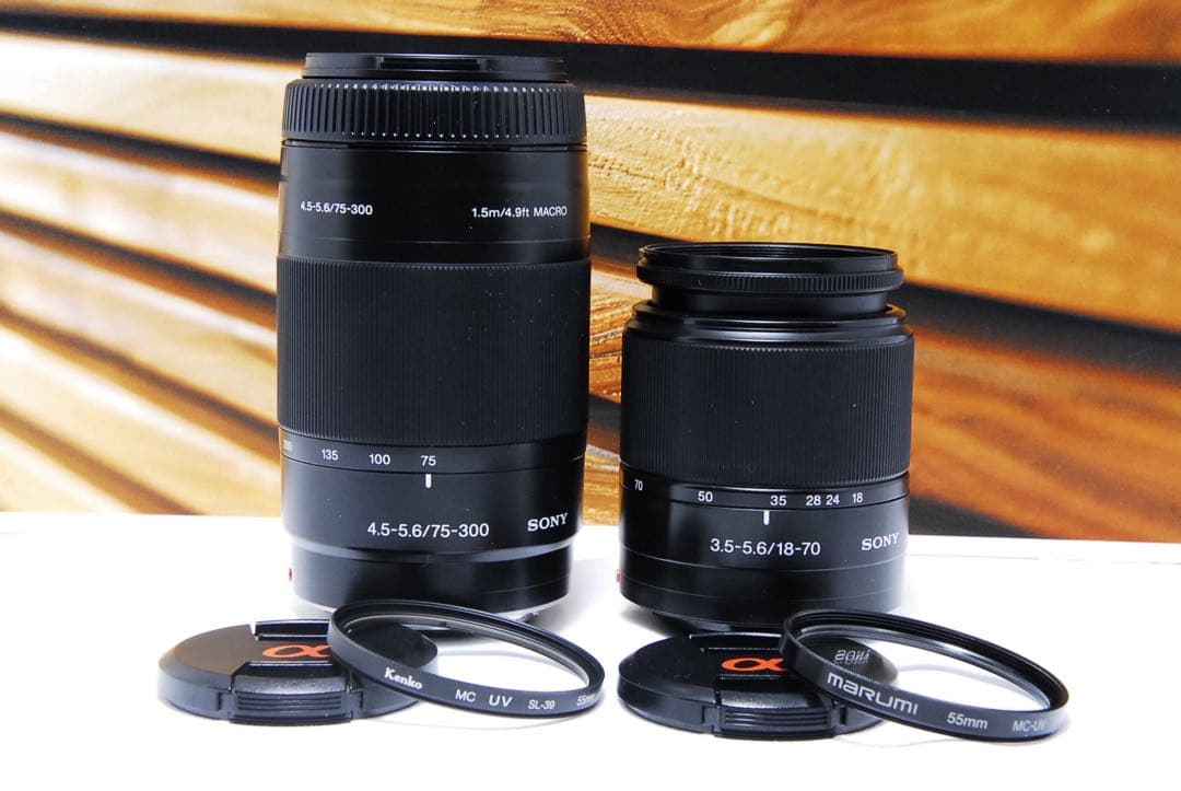 初心者向け SONY α200 レンズセット ソニー デジタル一眼レフ カメラ