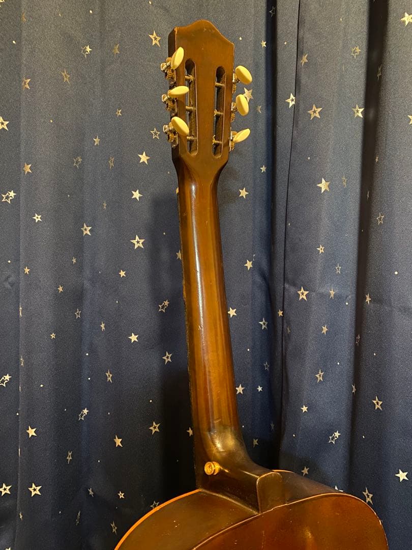 Daiwa Guitar No.300 (エレアコ) 鉄線ギター