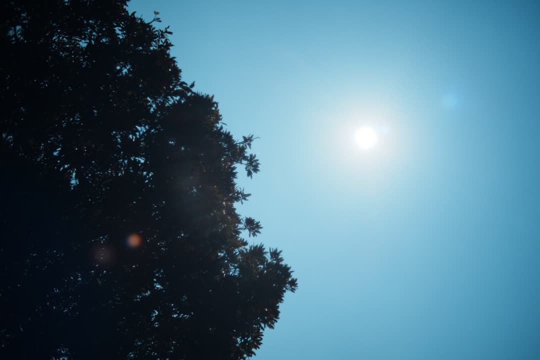 【バブルボケ】動作◎ FUJINON 55mm F2.2 後期 M42 325