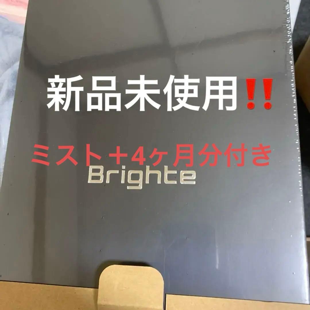 新品未開封　BRT-SD173 Brighte SHOWER DRYER