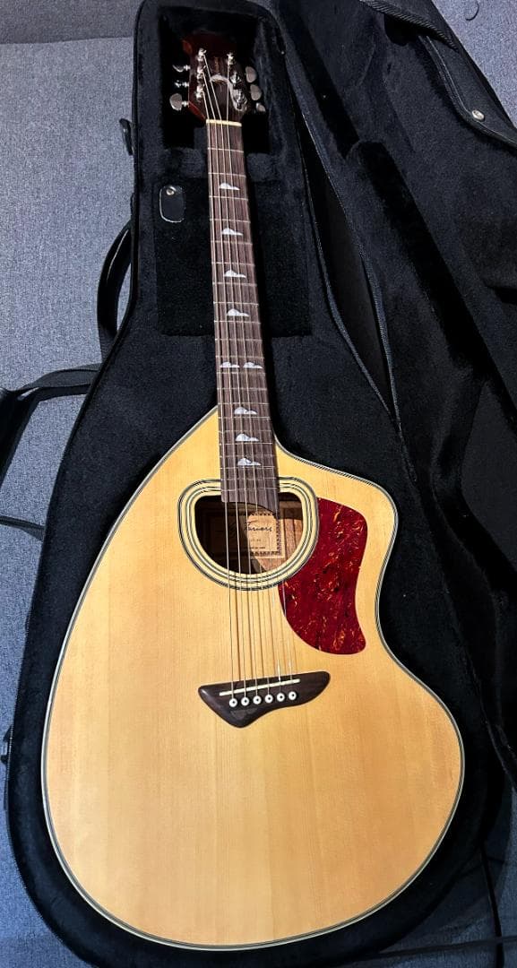 Jay Turser JTA-CRA-6S NG Giannini エレアコ