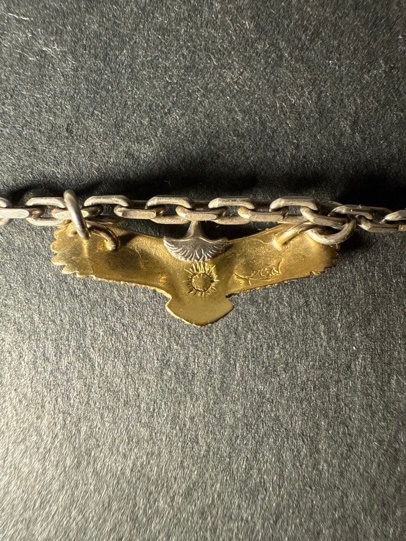 KEN KIKUCHI 頭プラチナ 全金 極少 イーグル