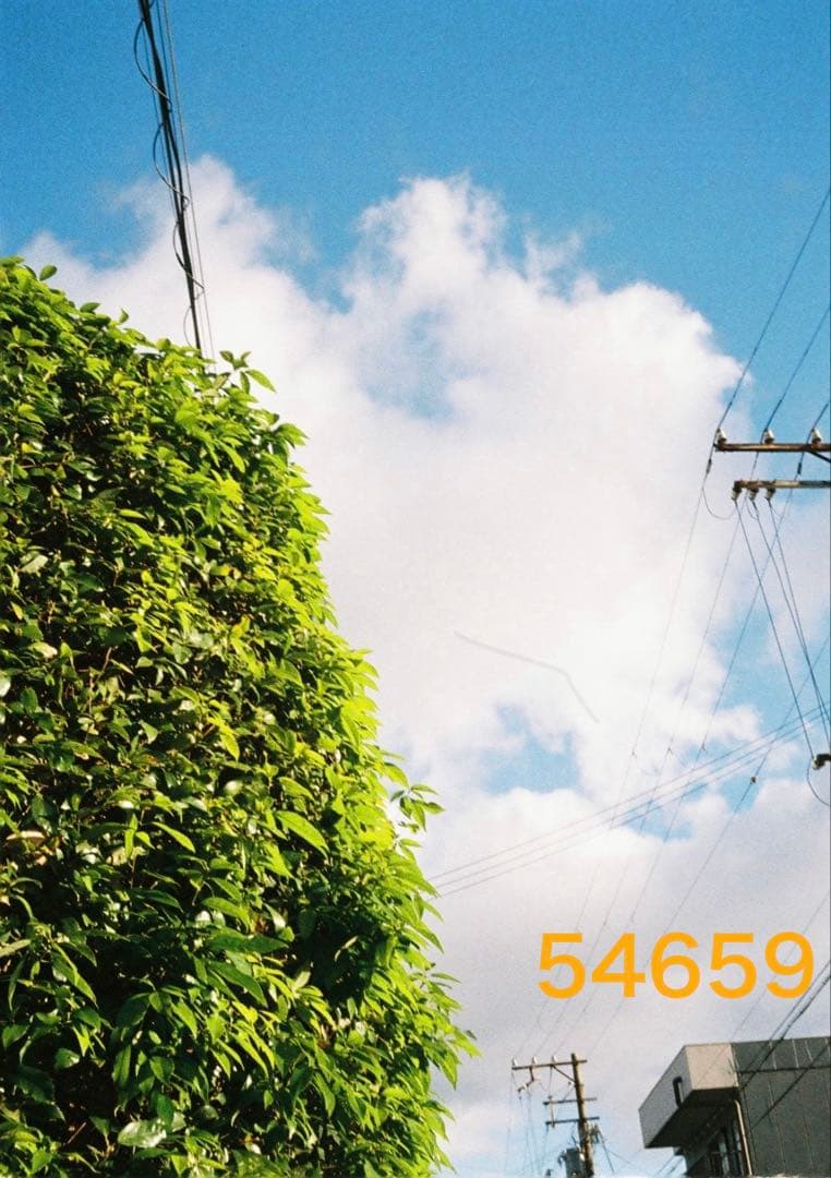 オートハーフ　初期型　AUTOHALF 動作良好