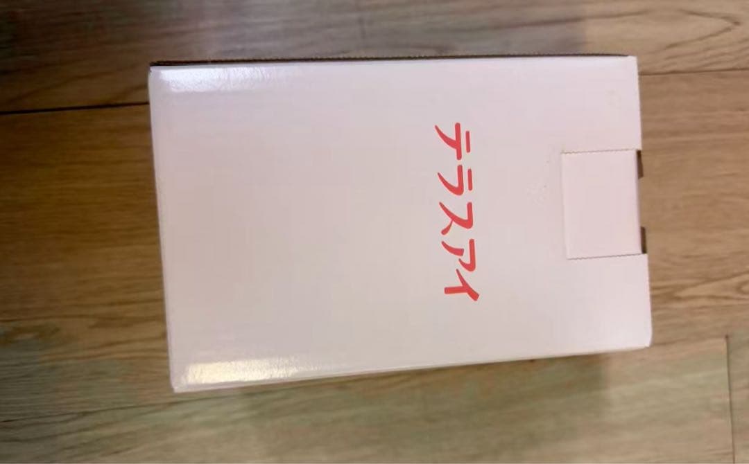 電球型ネットワークカメラ「テラスアイ