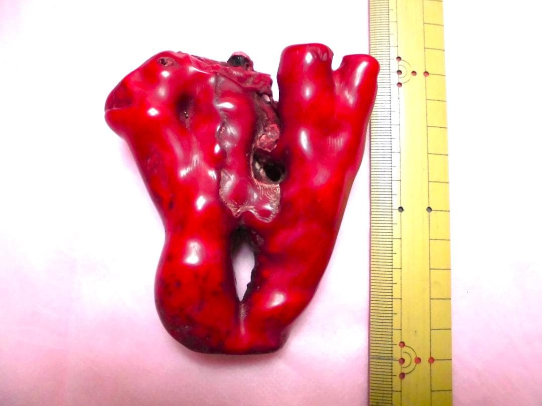 中国美術　天然　赤珊瑚　原木　骨董　珊瑚
