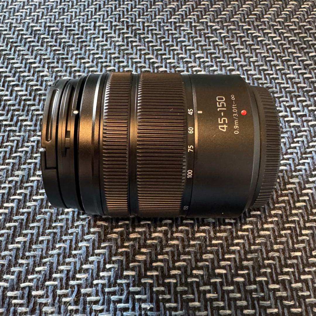 【美品】 LUMIX DC-G100DW ダブルズームレンズキット