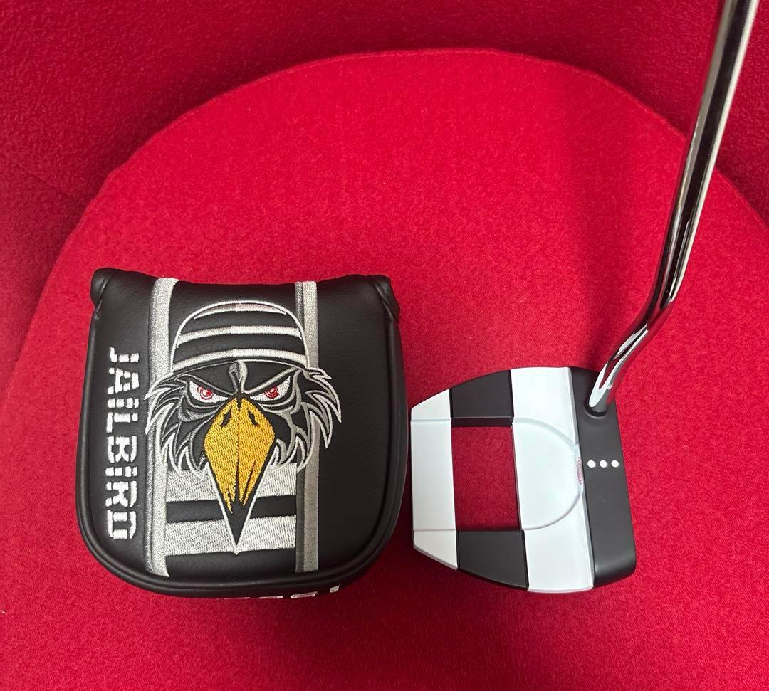 【美品❗️】オデッセイ　リミテッドエディション　ジェイルバード　380 39インチ