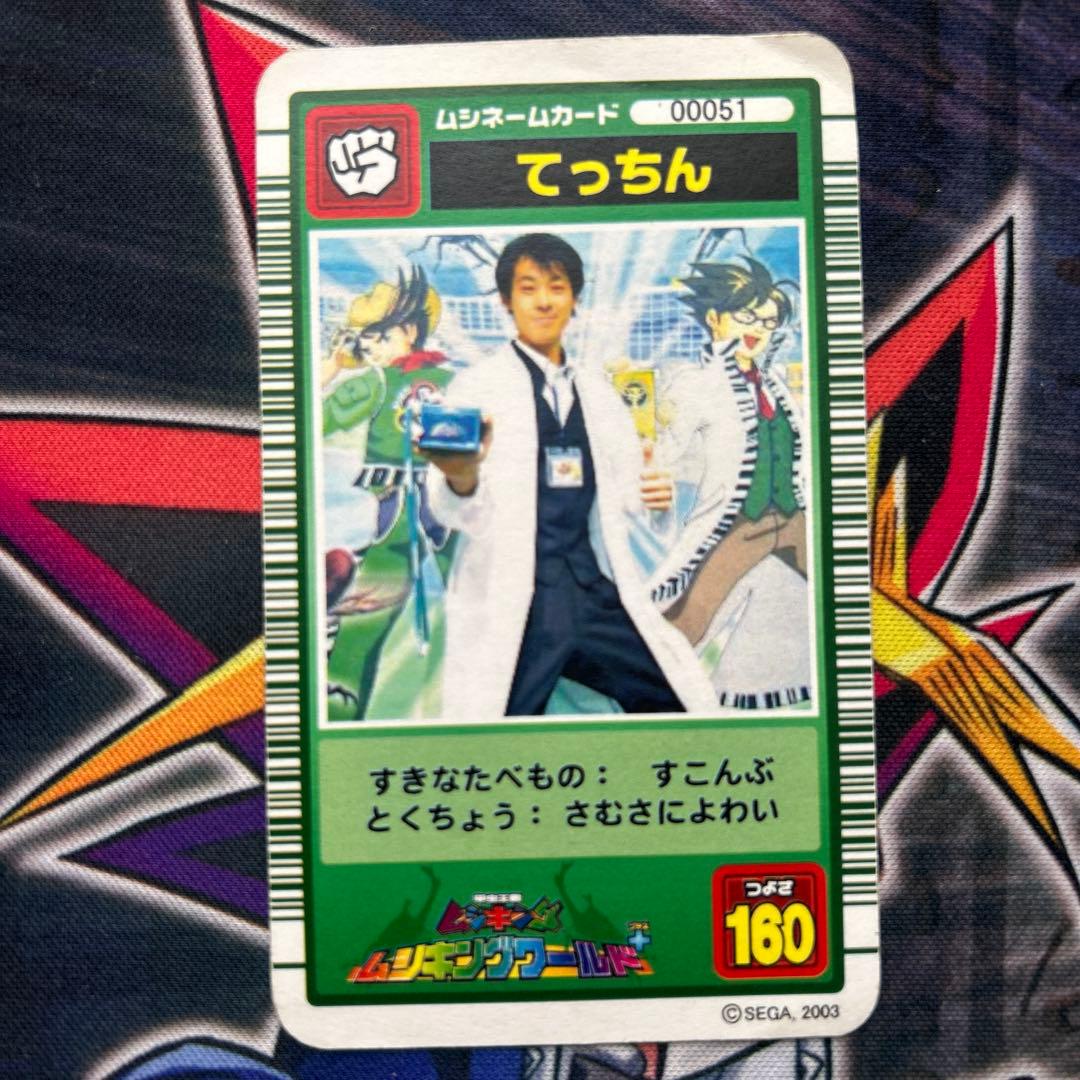 ムシキング　てっちん