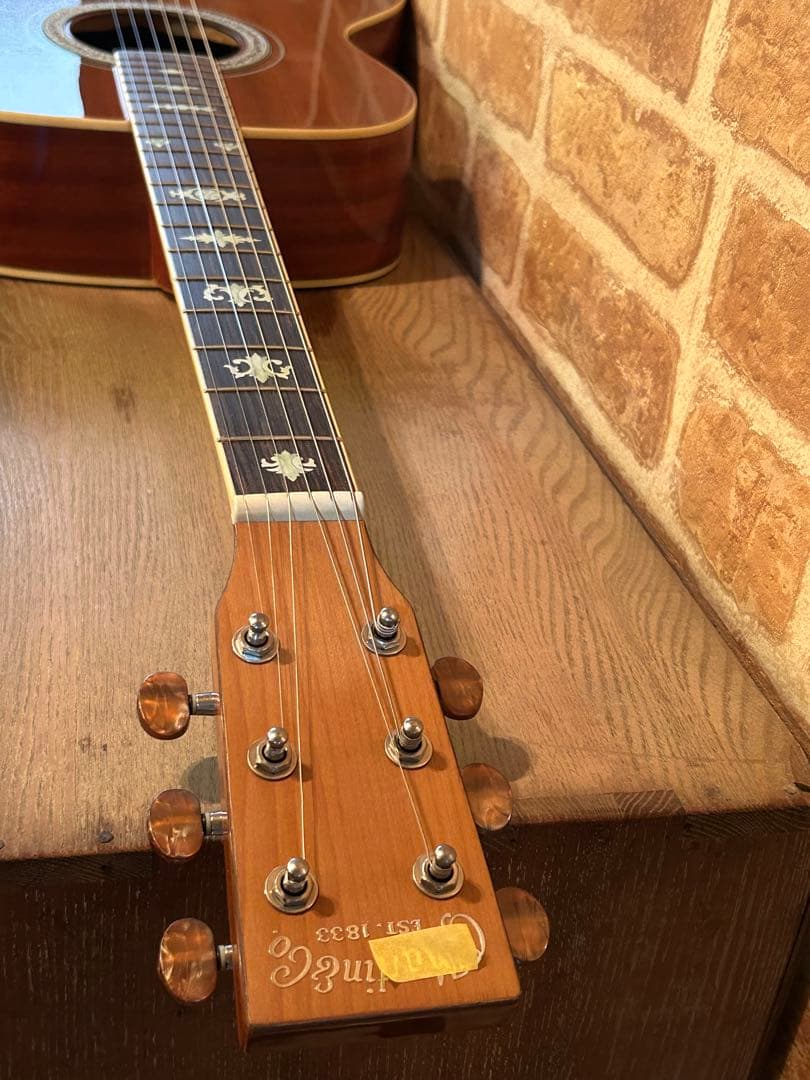 マホガニーボディーアコースティックギター