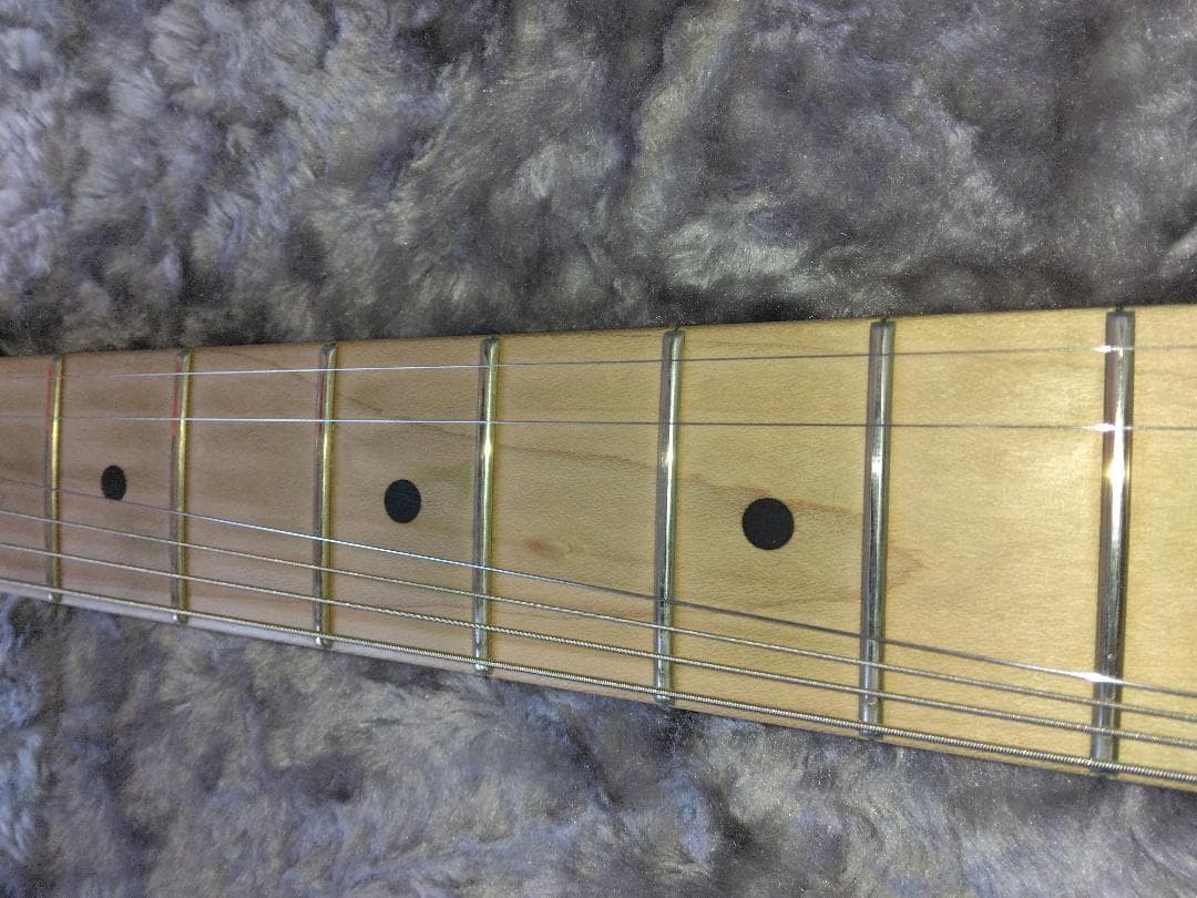 tatsu.tk.kamata　EVH Striped 白黒（ギターのみ）