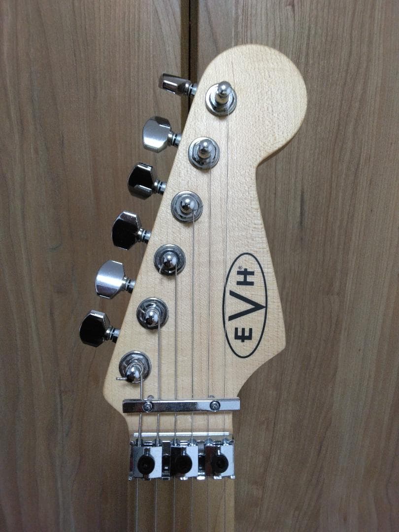 tatsu.tk.kamata　EVH Striped 白黒（ギターのみ）