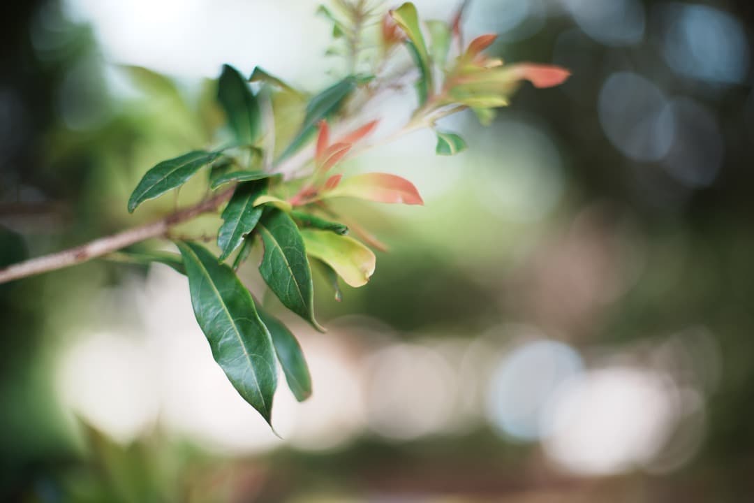【美品】動作◎ ペンタックス SMC Takumar 50mm F1.4 487