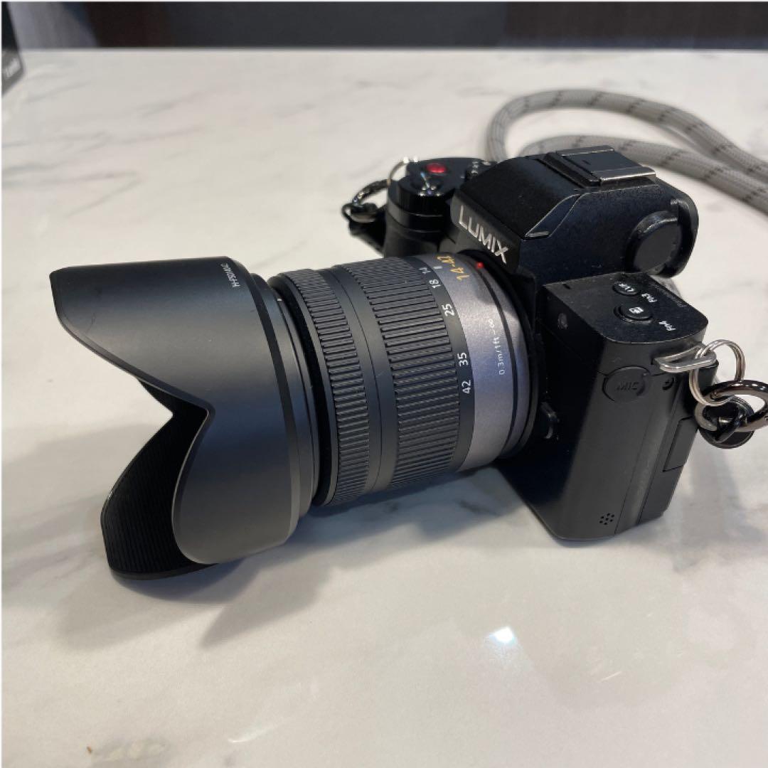 【豪華アクセサリー付属 限定セット販売】LUMIX DC-G100V 美品セット