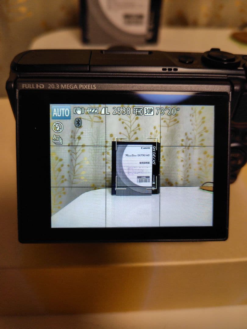 Canon PowerShot SX730 HS 箱付き&ケース&液晶フィルム