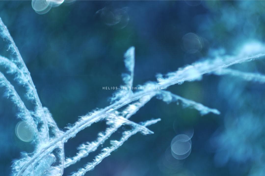 HELIOS-103 53mm F1.8 キエフ M42マウント改造レンズ