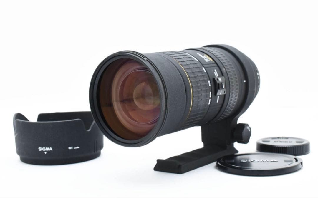 最終値下げ　シグマ APO 50-500mm F4-6.3 CANON