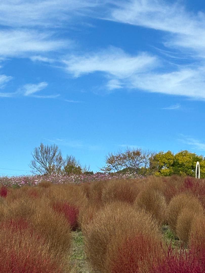 AIVER サーモライト N-3 フライトコート Ｌ