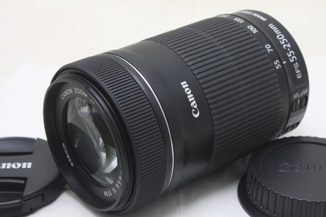 キヤノン EF-S 55-250mm F4-5.6 IS STM 8802