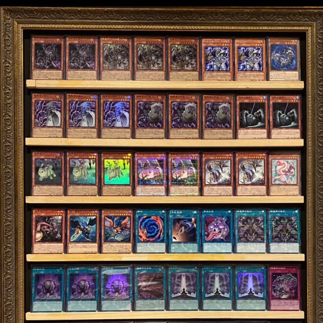 即日発送！暗黒界未界域　デッキ　遊戯王　スノウ　グラファ　カラレス　ネッシー