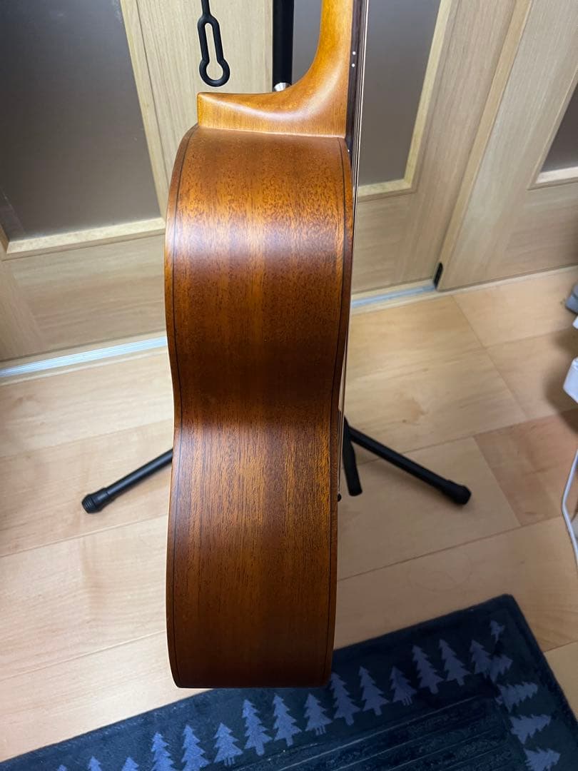 aNueNue Bird Guitar aNN-M10E エレアコ