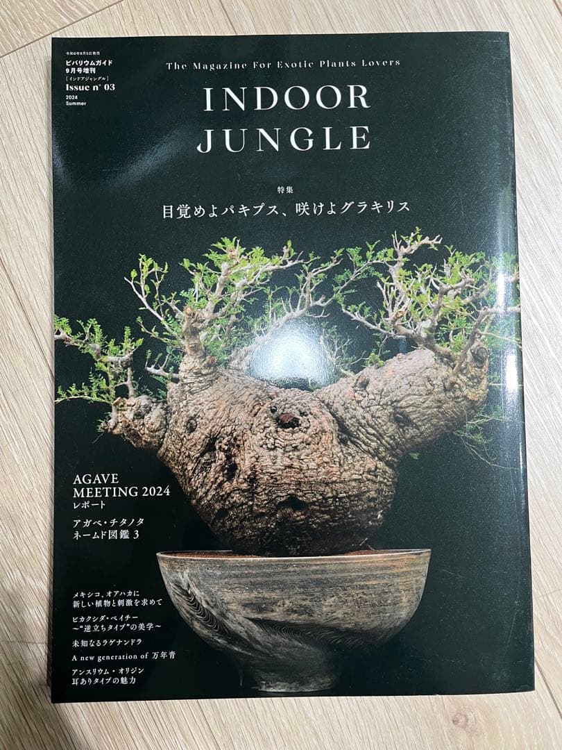 INDOOR JUNGLE 3冊セット