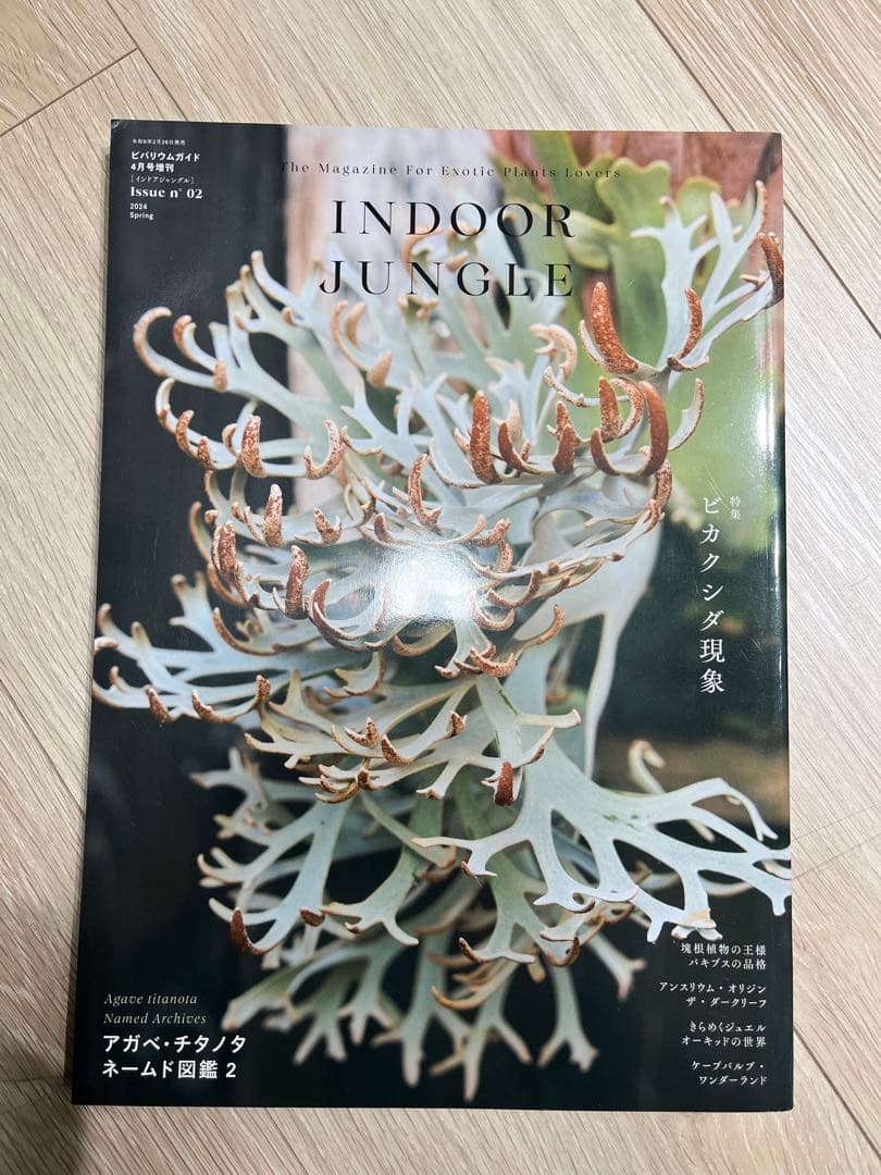 INDOOR JUNGLE 3冊セット