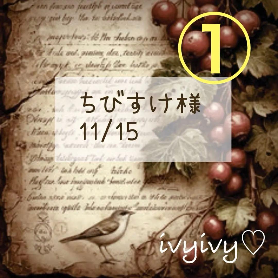 ①ちびすけ様11/15〜⭕️おまとめ用