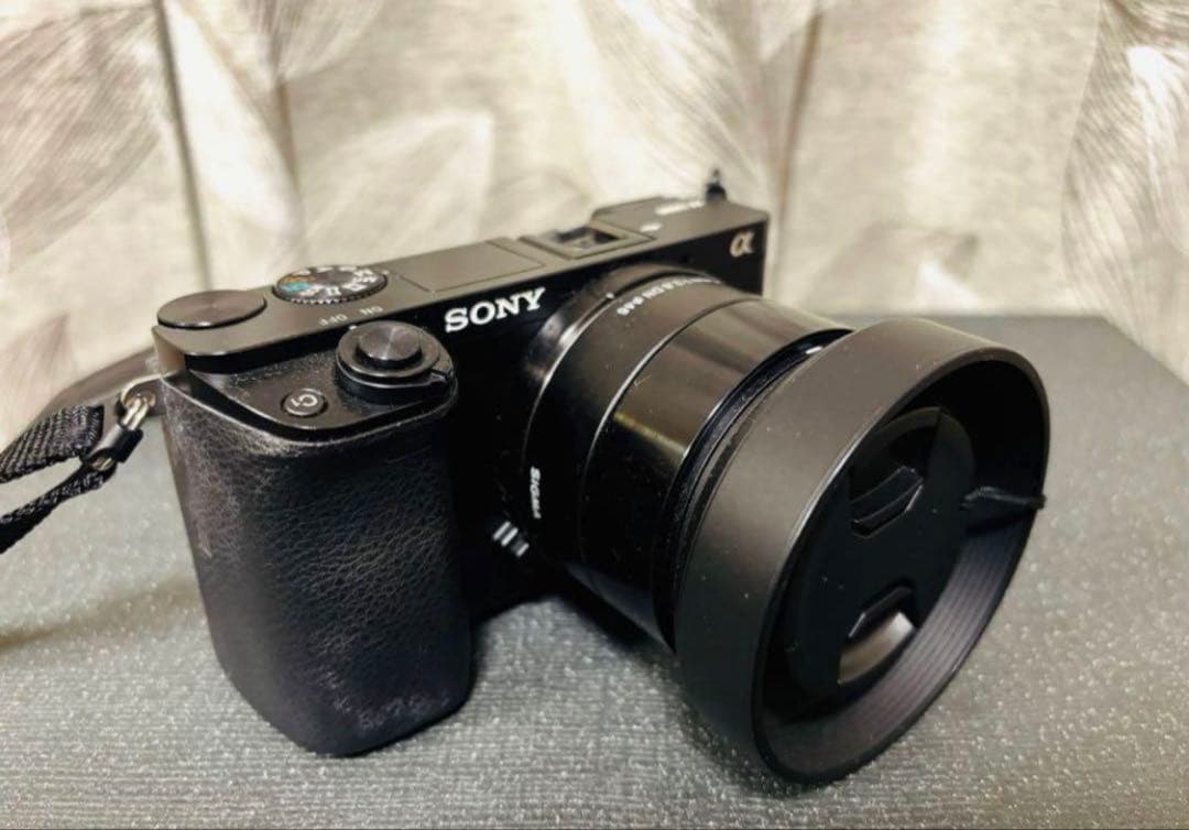 「WAS」SONY α6000 ミラーレス一眼 24.3MP
