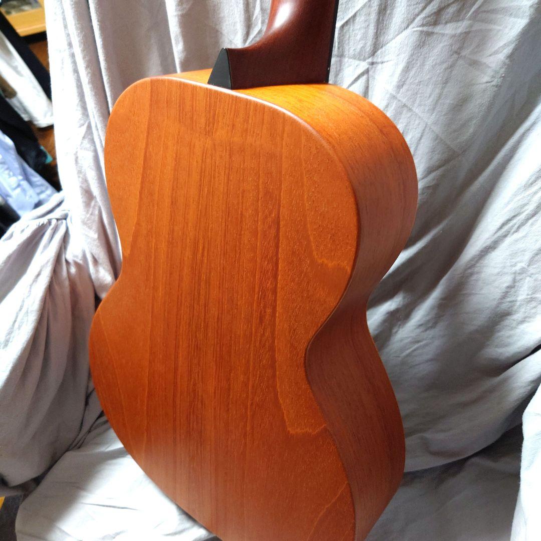 Larrivée パーラー o-01 shadow nano mag付