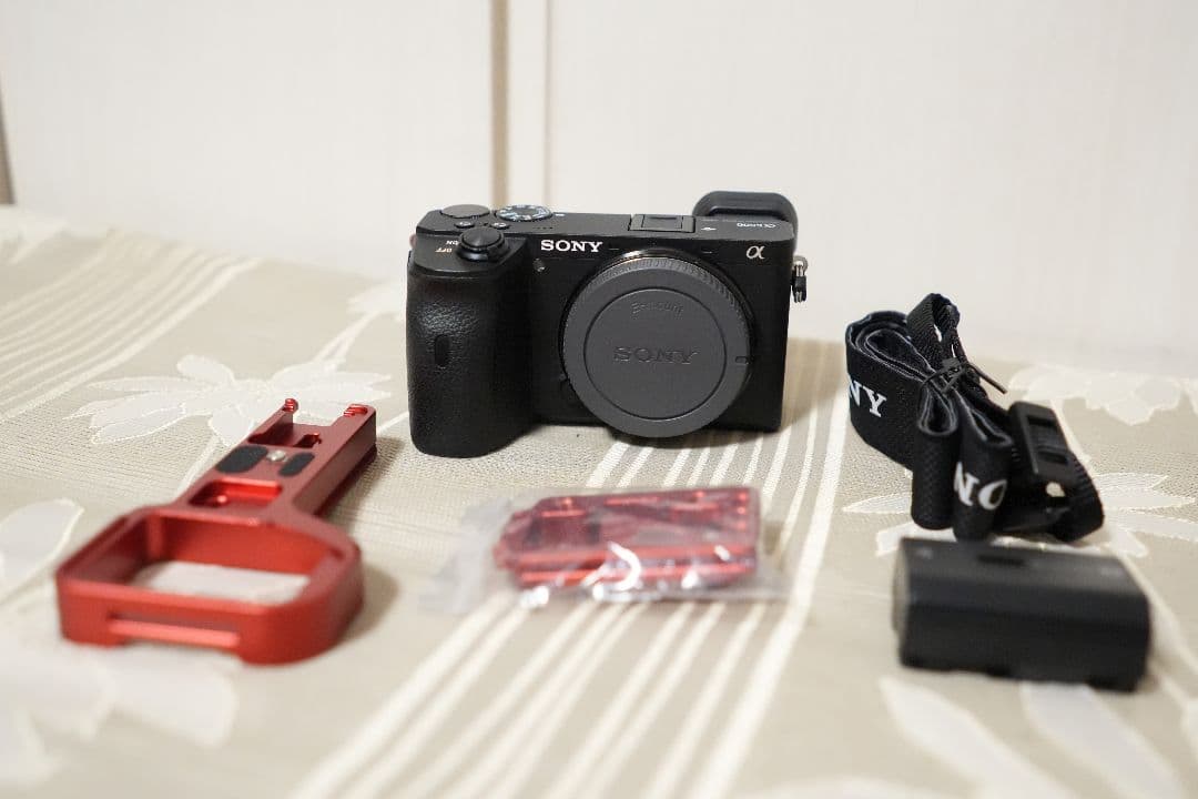 Sony α6600 ミラーレス一眼カメラ 本体 おまけ付き