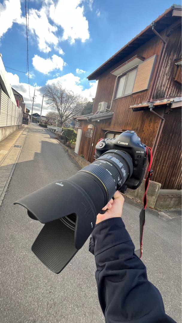 SIGMA 50-500 Canon efマウント レンズのみ