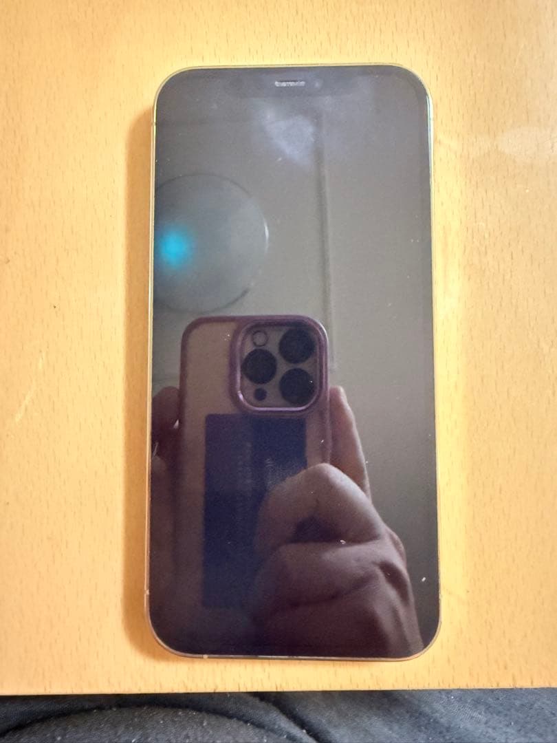 Apple iPhone 12Pro 本体