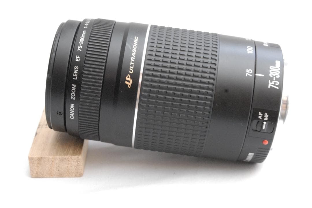 CANON ZOOM LENS EF 75-300mm 1:4-5.6 ⅢUSM