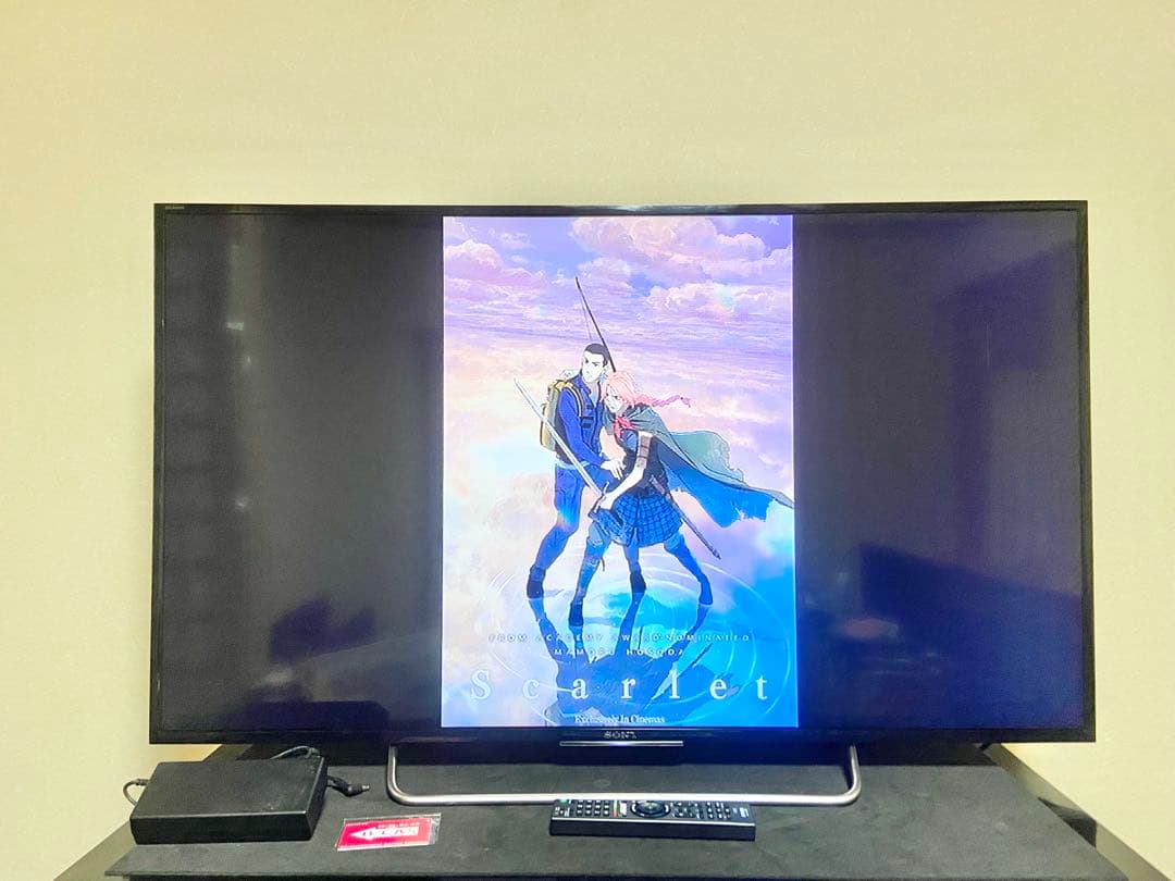 今だけ優待価格】 SONY BRAVIA 48V型フルHD YouTube対応