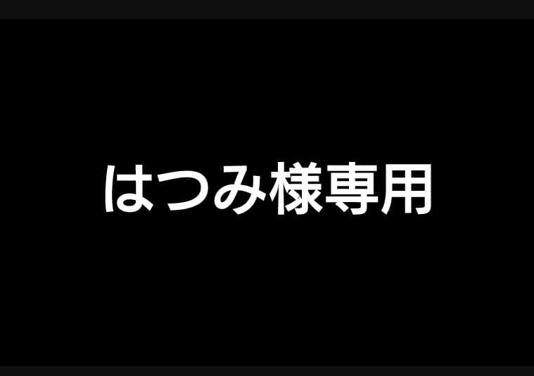 金華山モンブランローズ.日野プロフィア.ラウンドカーテン