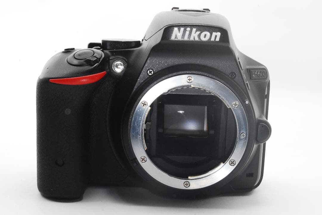 Nikon D5500 ダブルズーム Wi-Fi内蔵 手振れ補正【初心者人気】